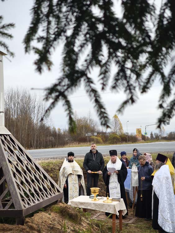 Фото новости