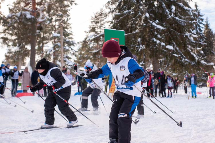 Титульное фото новости